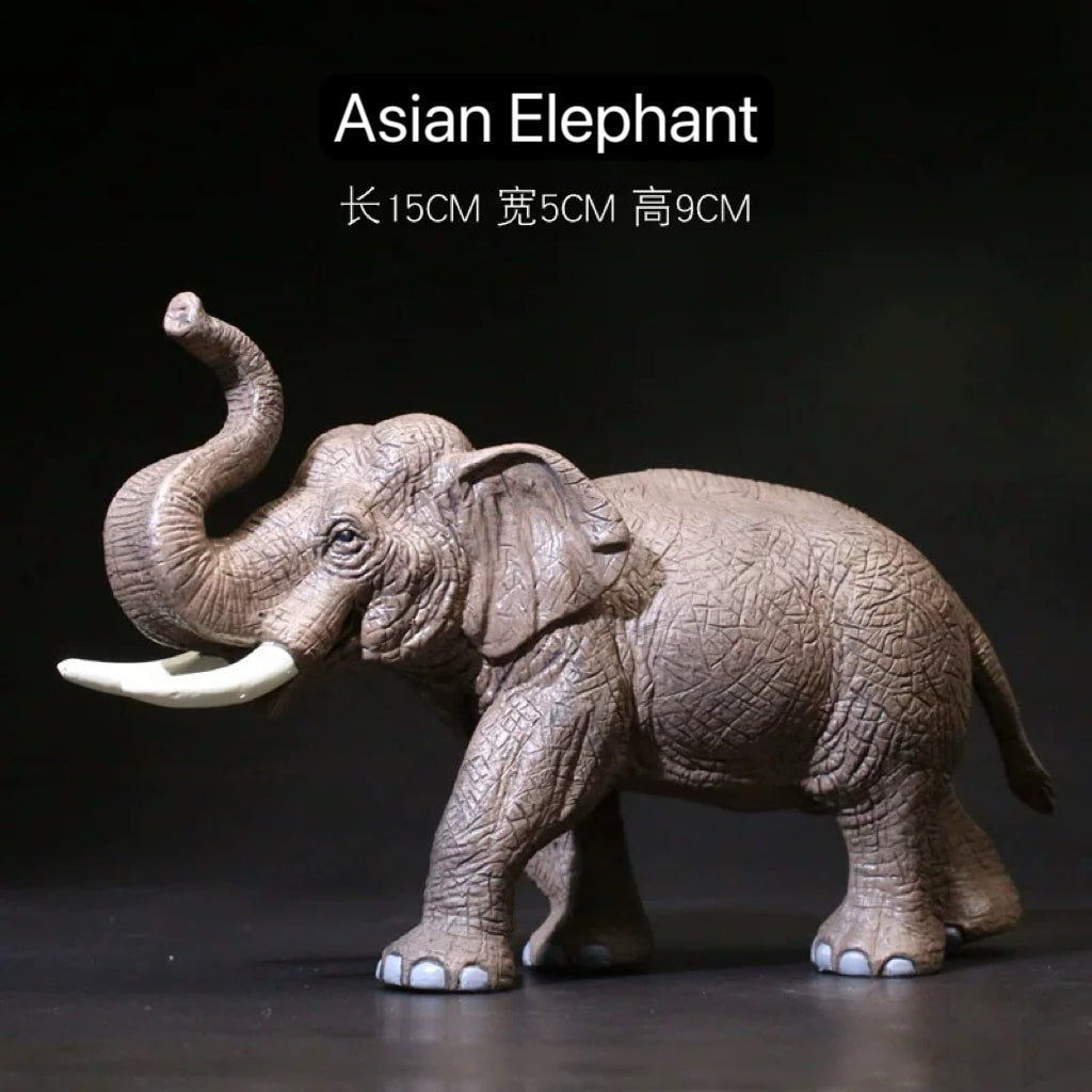 Jungle World (30 Animals)
