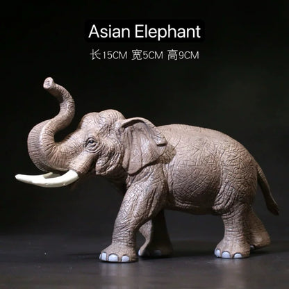 Jungle World (30 Animals)
